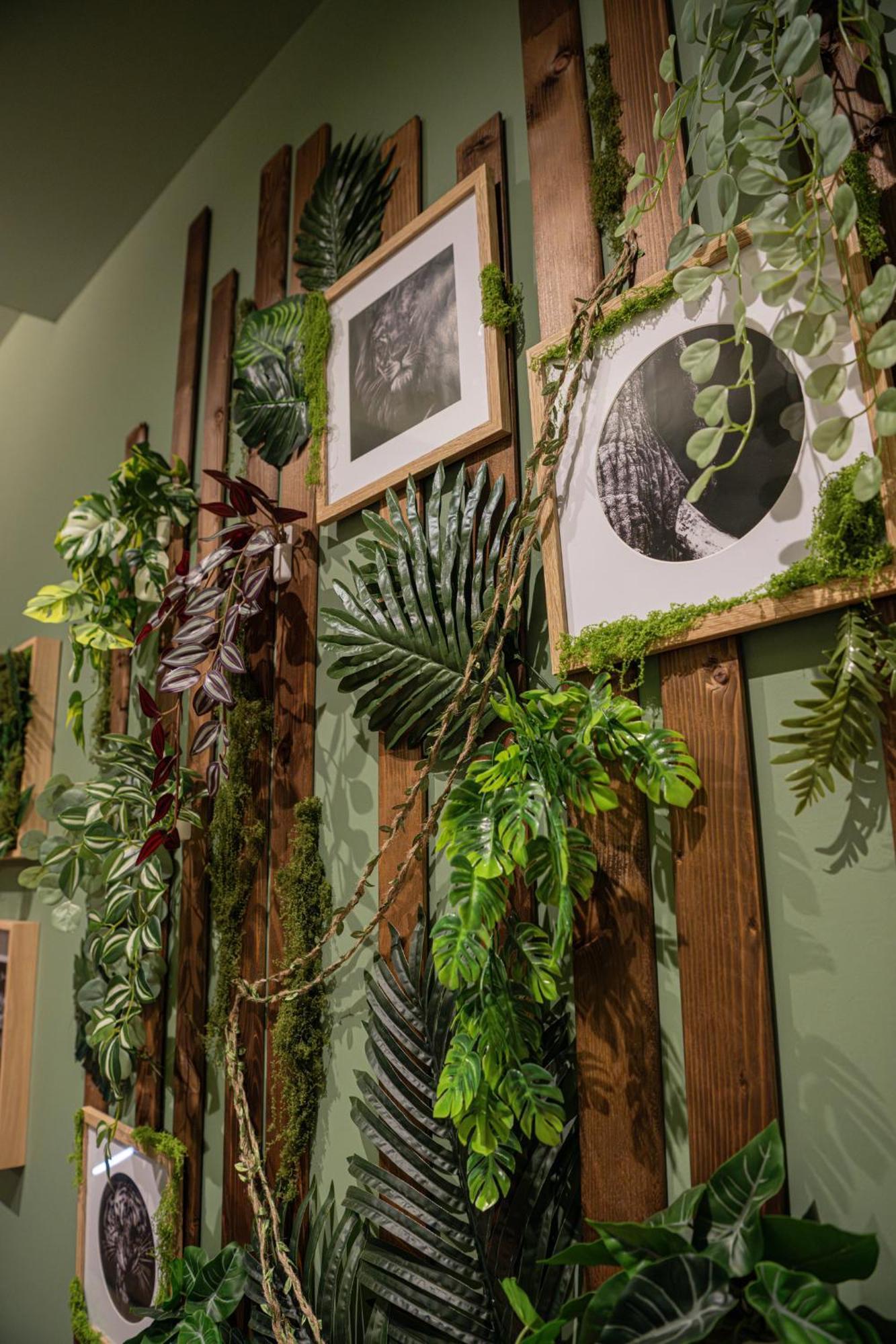 Secret Jungle - Love Room By Prim0 C0Nciergerie Royat Exterior foto